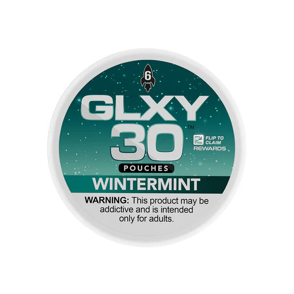 GLXY Nicotine Pouches 5-Pack Wintermint