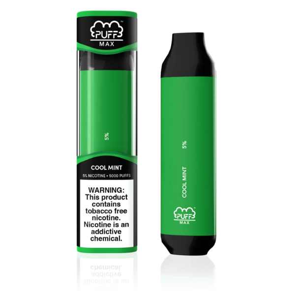 Best Deal Puff Max 5000 Puffs Disposable Vape 11mL - Mint