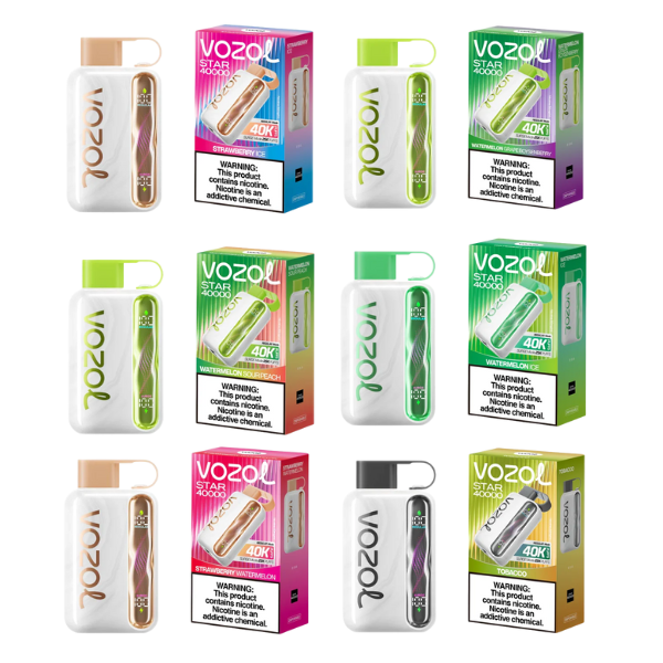 Best Flavors Vozol Star 40k Puffs Disposable Vape 10 Pack