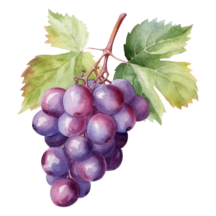 Grape Vape Juice