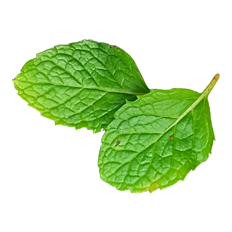 mint vape juice