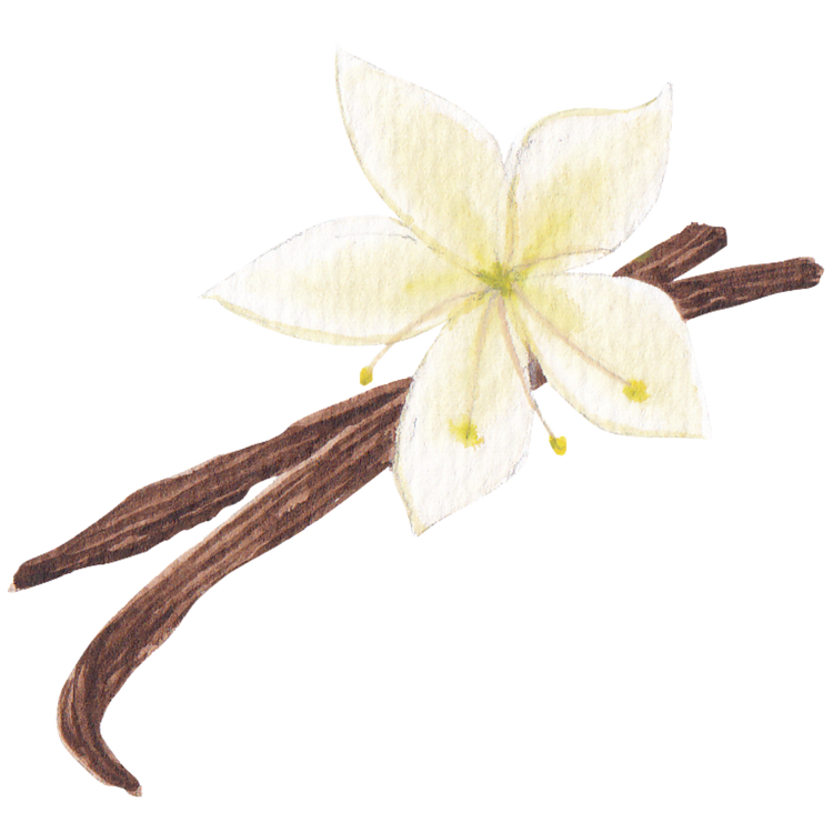Vanilla Vape Juice