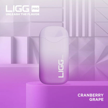 Best Deal LIGG Pro 5500 Puffs Rechargeable Disposable Vape 14mL Cranberry Grape