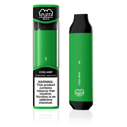 Best Deal Puff Max 5000 Puffs Disposable Vape 11mL - Mint