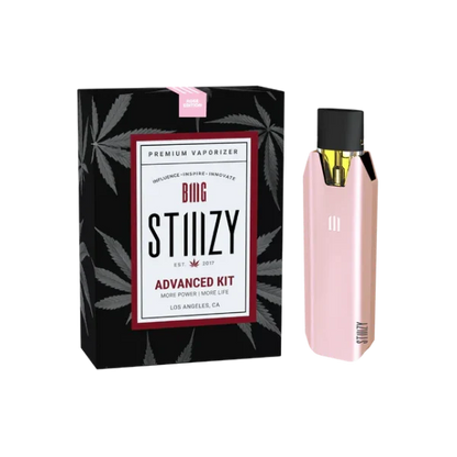 Best Deal STIIIZY Advanced Original Biiig Battery (Pod Battery) Rose
