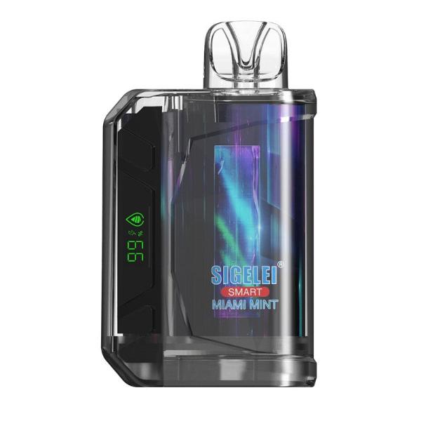Sigelei Smart AC10000 Disposable 10000 Puffs 20mL Best Flavor Miami  Mint