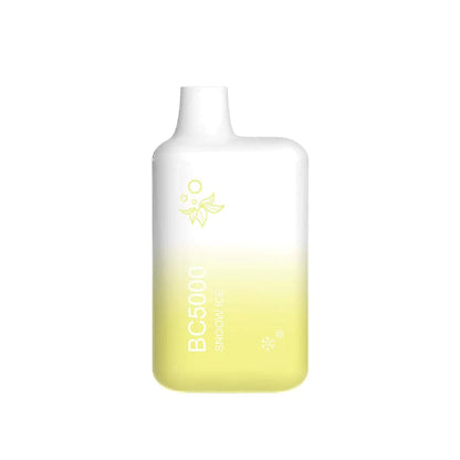 Elf EBCREATE BC5000 Disposable Vape Best Flavor Snoow Ice