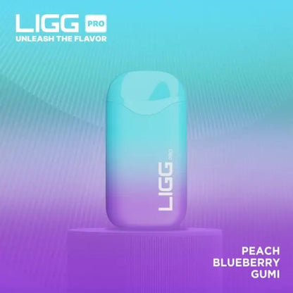 Best Deal LIGG Pro 5500 Puffs Rechargeable Disposable Vape 14mL Peach Blueberry Gumi