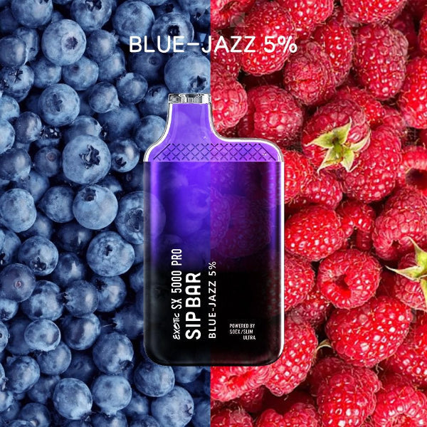 Best Deals Exotic Sip Bar SX 5000 Puffs Disposable Vape 13mL Best Flavor Blue Jazz